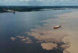 Captura de imagens para o seu negócio