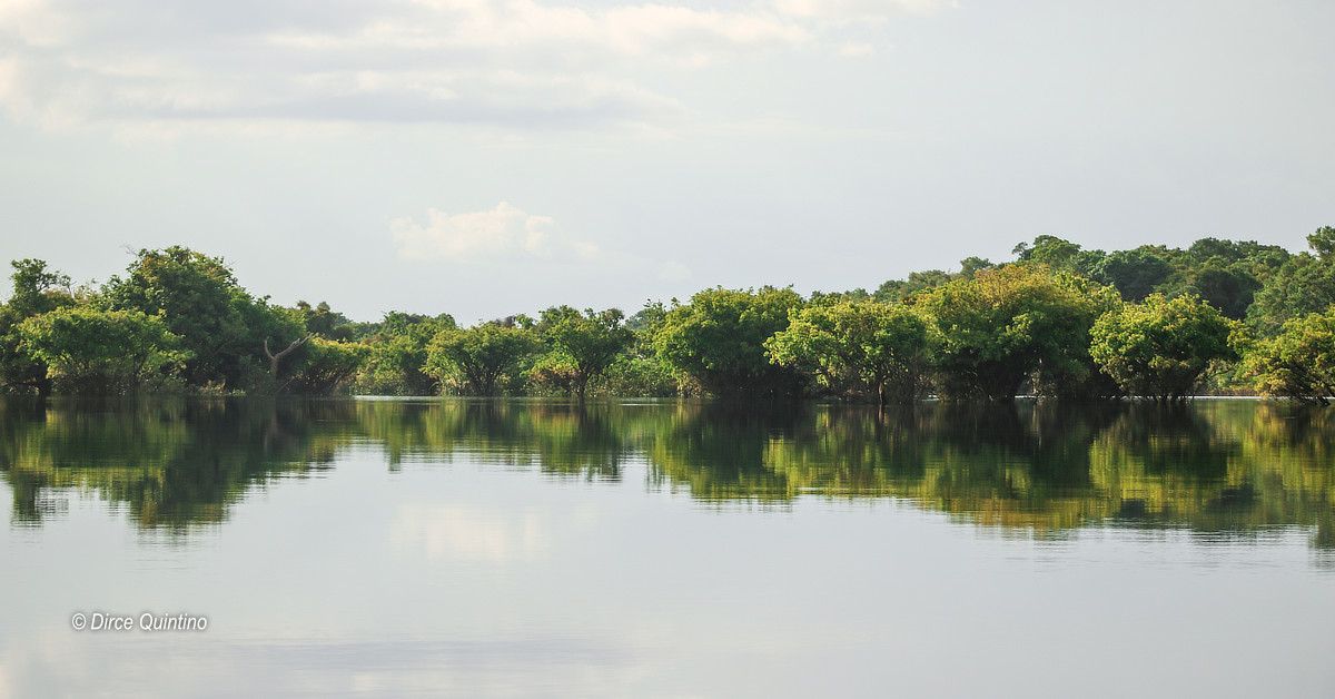 Fundação Amazônia Sustentável e Sabesp se unem para conservação da Amazônia