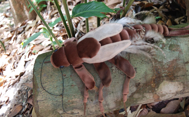 Exposio ldica sobre o mundo dos insetos ao Amazonas Shopping