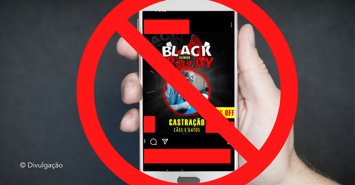 Falso Black Friday: CRMV-AM alerta para serviços veterinários não autorizados