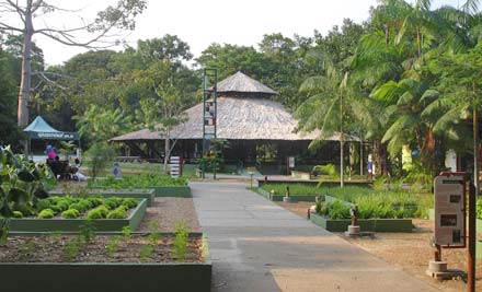 Parque Municipal do Mindú